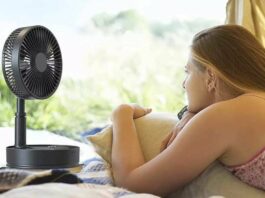 Portable fan