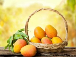 Mangoes Benefits