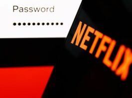 Netflix Password Sharing