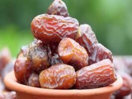 Summer Season Dry Fruits Benefits