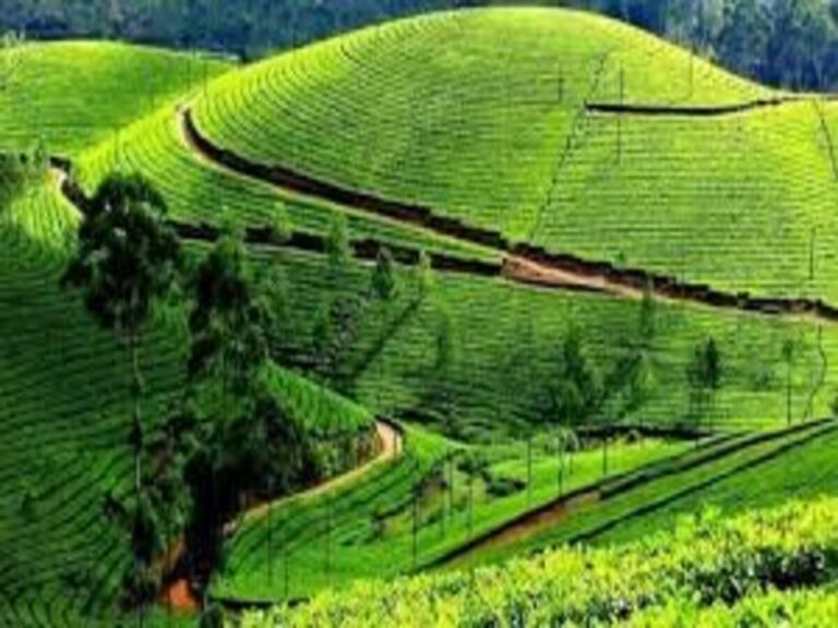 Ranikhet Tour Package: समर बेस्ट ऑफर के साथ लें रानीखेत घूमने का मजा, हिमालय की गोद में बसा है ये खूबसूरत हिल स्टेशन