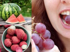 Summer Season Fruits