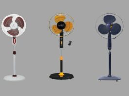 Pedestal Fan
