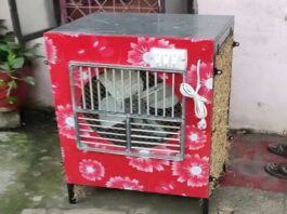 Old Cooler Repair Tips