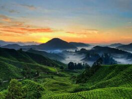 Devikulam Travel Places