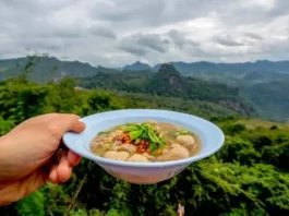 Local Food Points In Manali