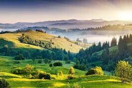 Kodaikanali Travel Places