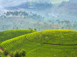 Vagamon Travel Places