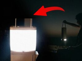 Sea Water Lamp