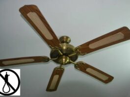 Anti Suicide Fan
