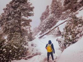 Mcleodganj Travel Places