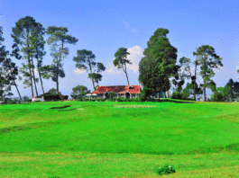 Ranikhet Travel Places