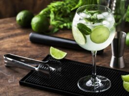 Gin and Tonic Recipe