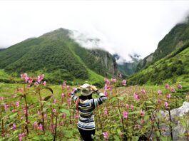 Uttarakhand Travel Valley