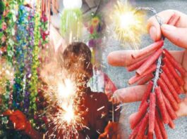Diwali Guidelines