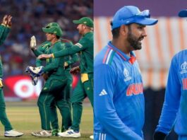 world cup, south africa, india
