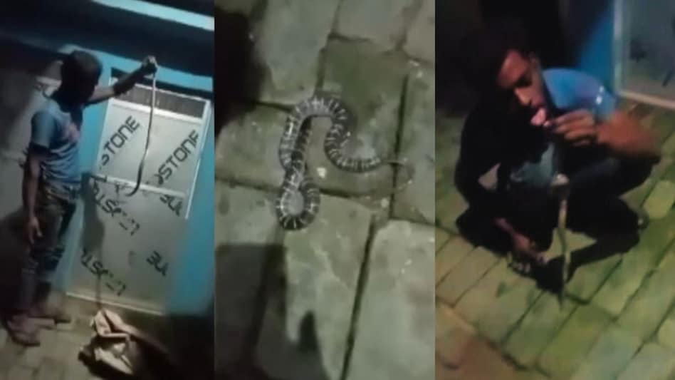 deoria snake viral video