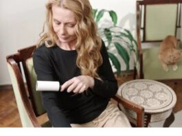 Lint Remover