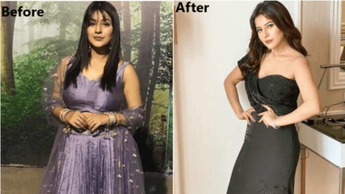 Shehnaaz Gill Weight Loss Tips