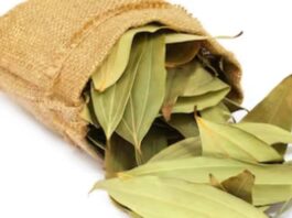 Tej Patta Benefits