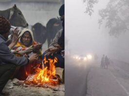 weather-alert-severe-cold-in-19-districts-of-up-dense-fog-in-54-cities-and-orange-alert-of-frost-in-33