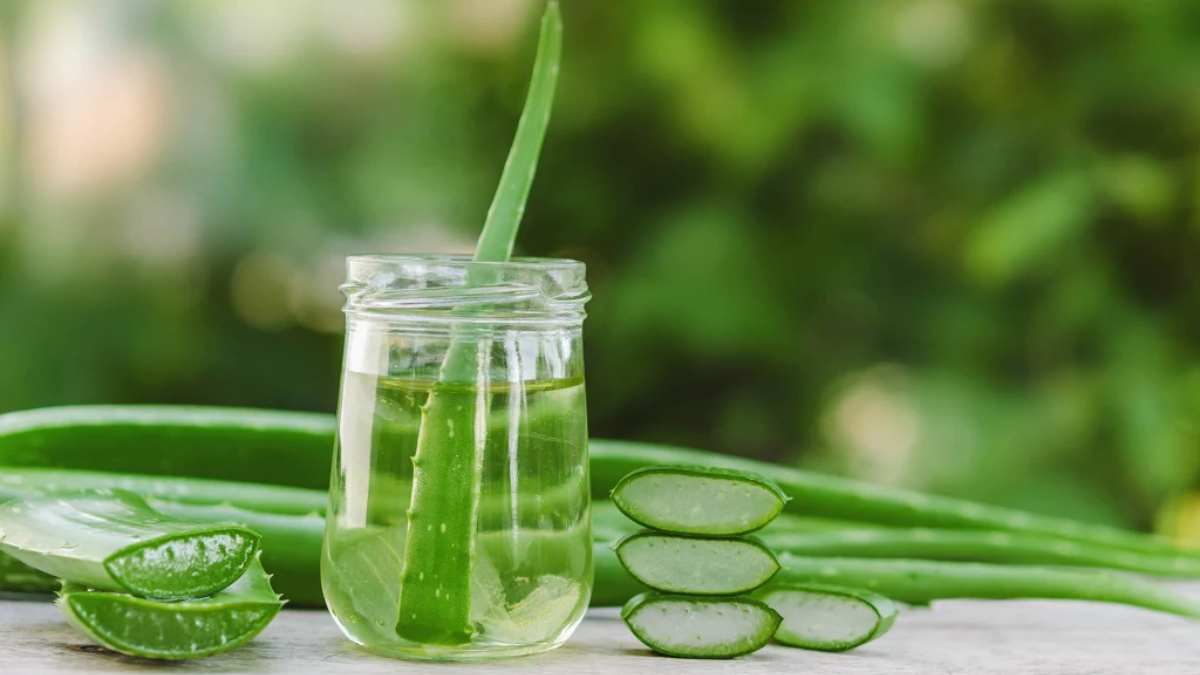 Benefits of Aloe Vera