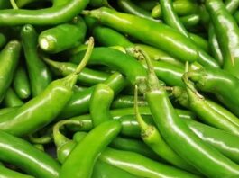 Green Chilli Benefits