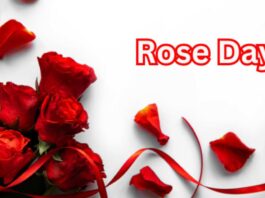 Rose Day