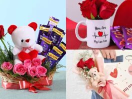 Rose Day Gift Ideas