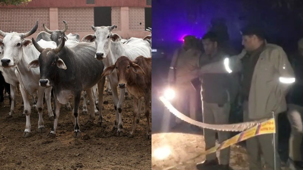Shamli Encounter between police and cowherds