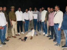 orai-two-inter-district-criminals-arrested-in-police-encounter