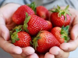 Benefits Of Strawberry