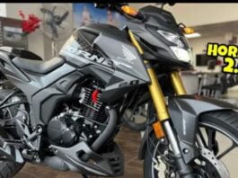 Honda Hornet 2.0