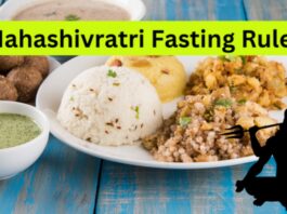 Rules For Mahashivratri Vrat