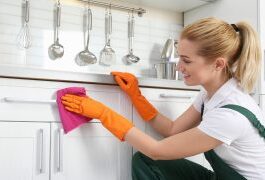 Kitchen Cleaning Tips