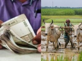 pm-kisan-17th-installment-do-this-work-before-the-installment-of-pm-samman-nidhi-otherwise-you-will-not-get-the-installment-money