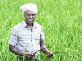 big-news-for-farmers-17th-installment-of-pm-kisan-yojana-will-be-released-on-18-june-check-beneficiary-list-soon
