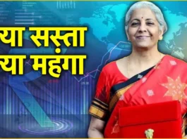Budget 2024 what Is Cheaper