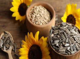 Sunflower Seeds Health benefit