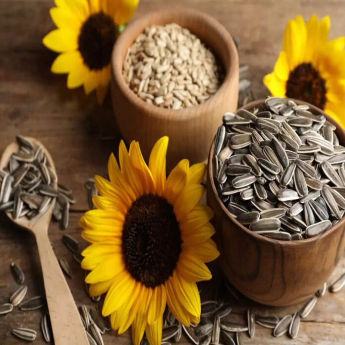 Sunflower Seeds Health benefit