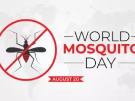 World Mosquito Day 2024: