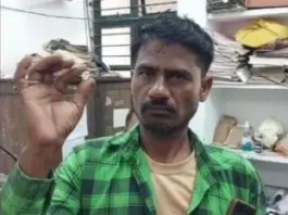 Labour finds diamond worth ₹80 lakh MP