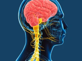 Brain Nerve Block Causes
