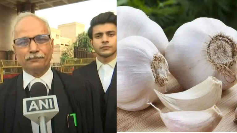 चाइनीज लहसुन बिक्री रोकने पर हाई कोर्ट सख्त, हेल्पलाइन नंबर होगा जारी