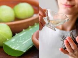 Aloe Vera Vs Amla: