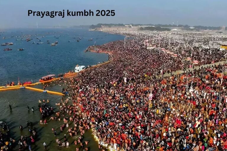 प्रयागराज महाकुंभ 2025,पहली बार बनेगा “Zero Animal Zone,” करोड़ों श्रद्धालुओं के लिए खास इंतजाम