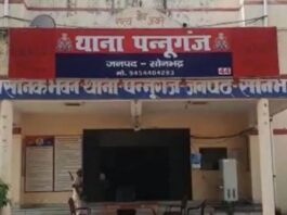 UP News