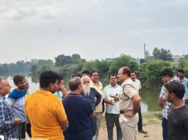 Auraiya