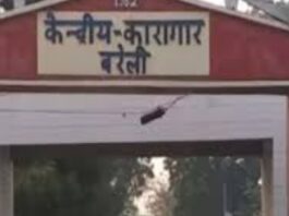 bareli