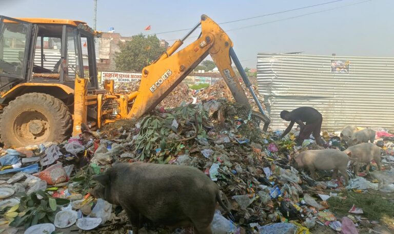 बुखार का प्रकोप, तालाब मे मच्छर पाल बीमारी बाँट रहा नगर पालिका गंजडुण्डवारा, जाने पूरा मामला